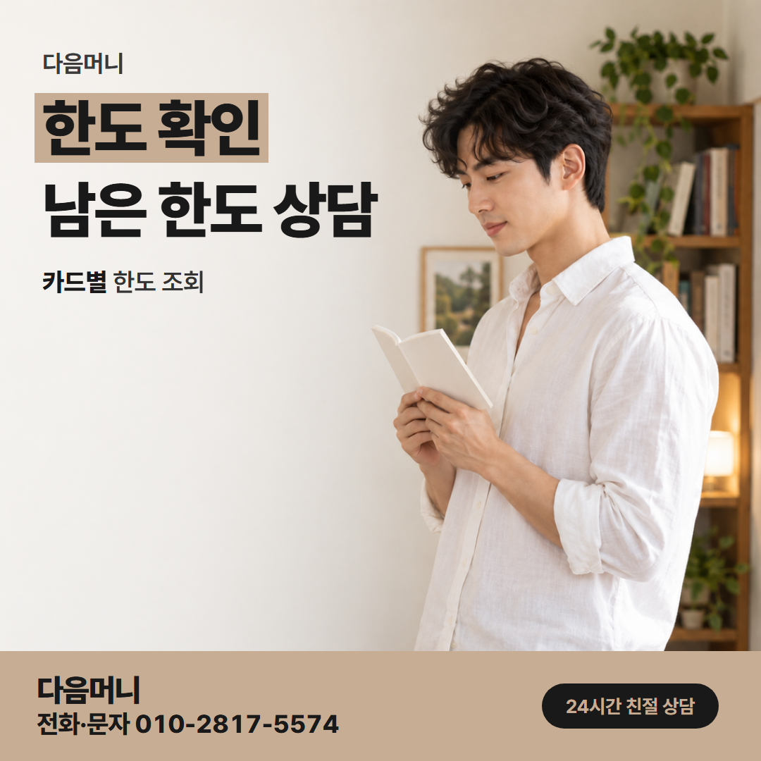 다음머니 구미카드깡 일시불이든 할부든 같이 빠지는 한도